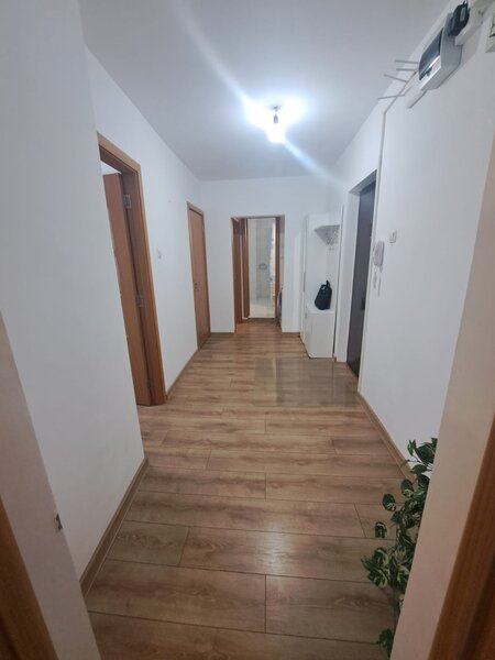 Colentina, Doamna Ghica, stradal